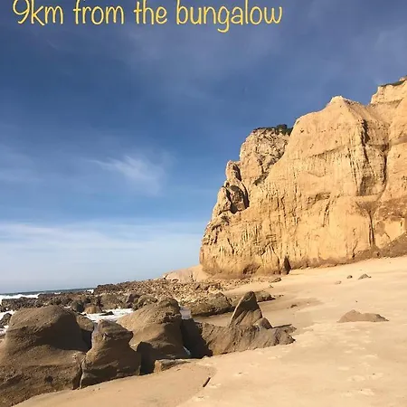 Sunshine Bungalows 帕塔亚什